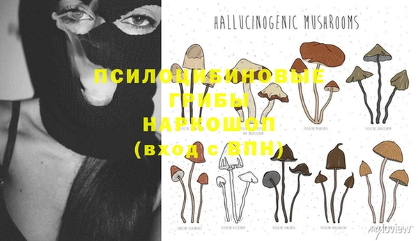 мдма Белокуриха
